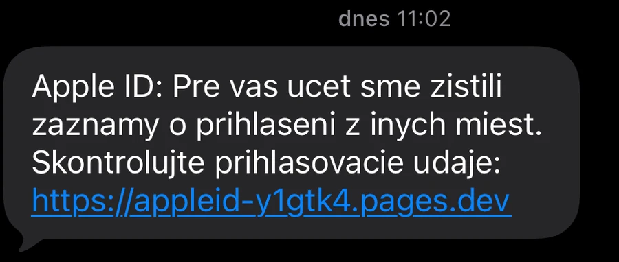 A close-up of the scam message